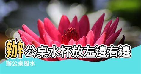 辦公桌 水杯 風水|辦公桌水杯放左邊右邊？水要放財位